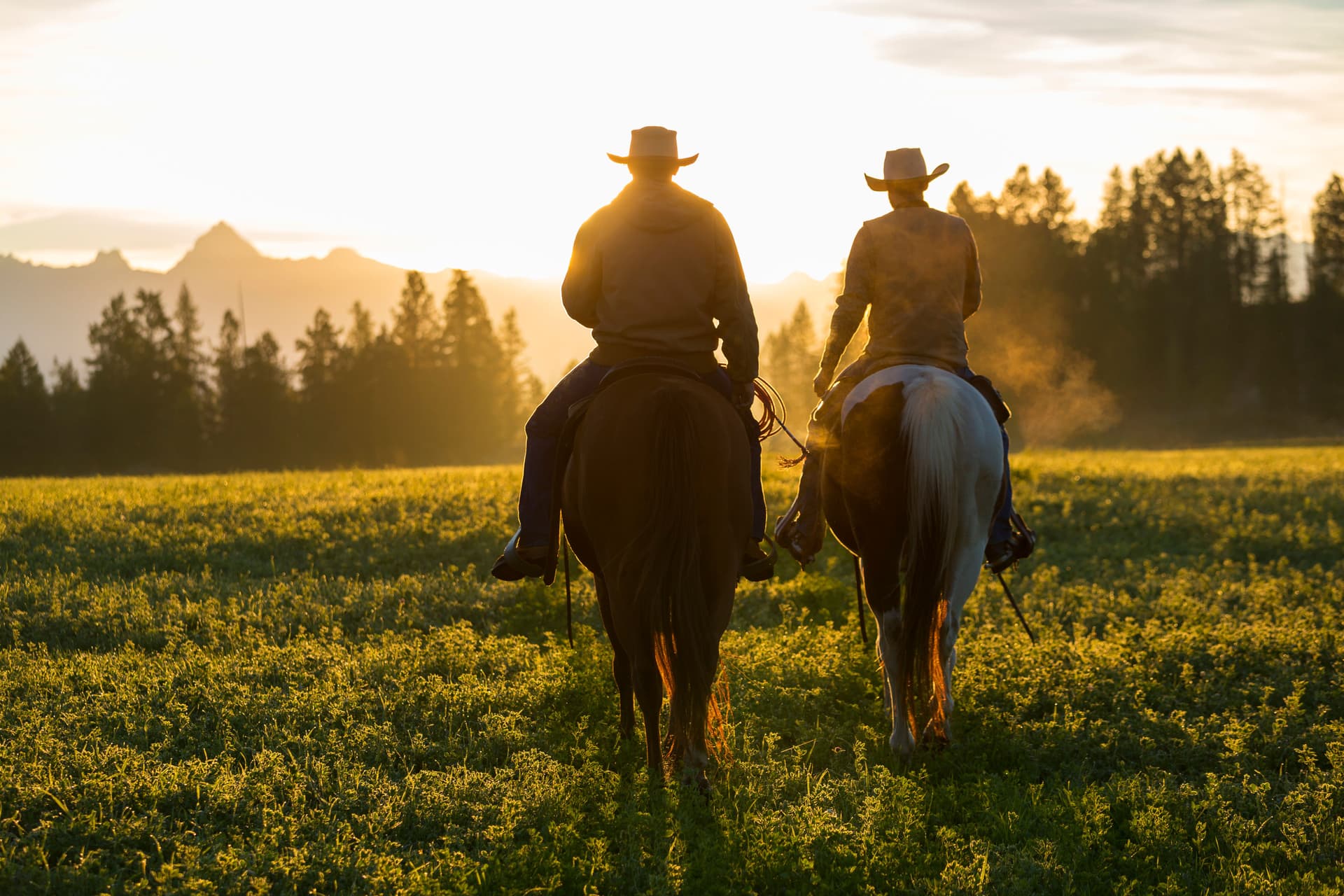 Tecovas Tip: Where to Ride Horses Near Denver