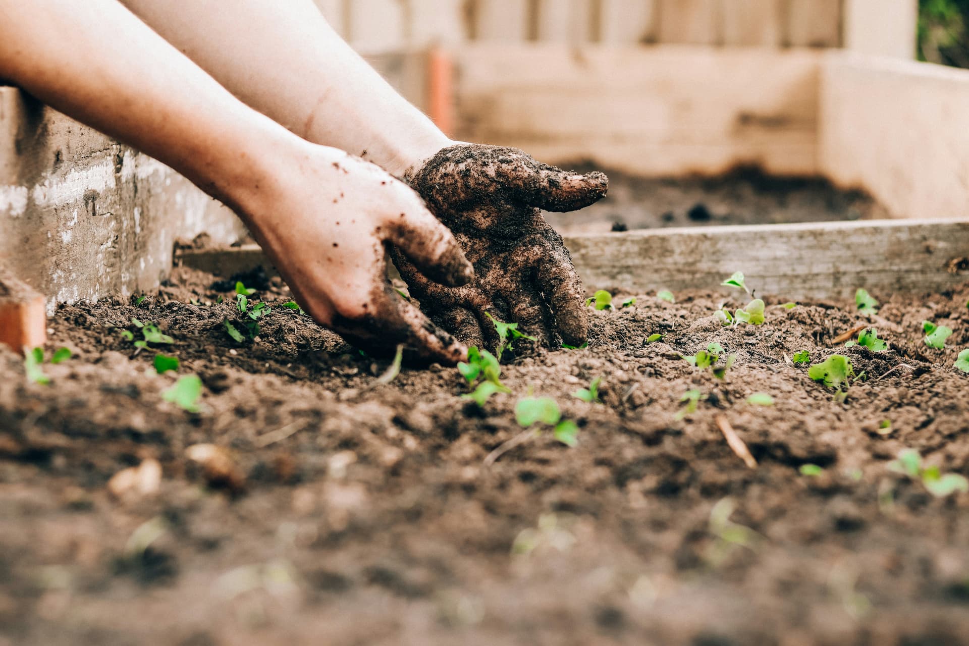 How to Snag Free Mulch and Compost